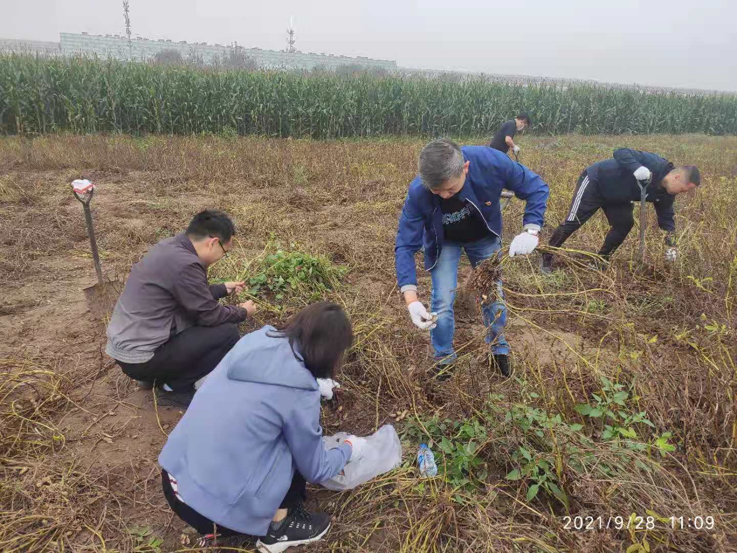W020211011118769008558 必发集团(股份)有限公司-官方网站